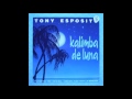 Tony Esposito   Kalimba de Luna The Italian Tamborder Club Mix
