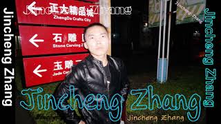 Download lagu Jincheng Zhang - Wrist (Background Music) (Instrumental Version) mp3