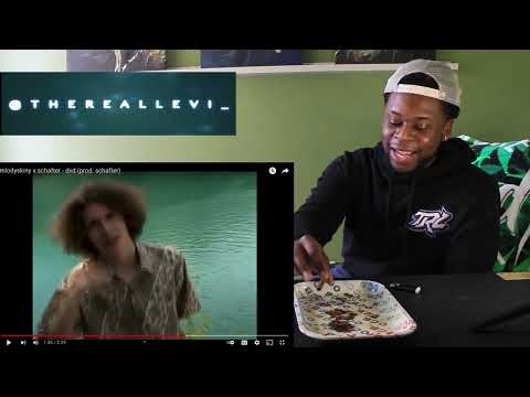 TRL Reaction / mlodyskiny x schafter - dvd (PolishRap)