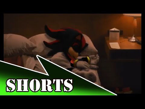 Shadow The Hedgehog Sleep Talk