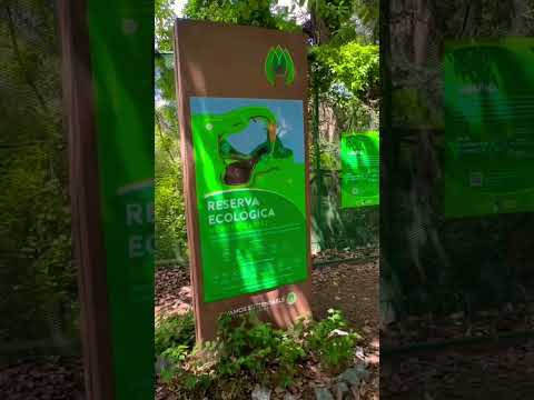 Estamos por entrar a la Reserva Ecológica de #vicentelopez en La Lucila #shorts #buenosaires #travel