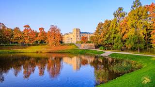 Wonderful Classical Music for Relaxation 🍂 Chopin, Beethoven, Mozart
