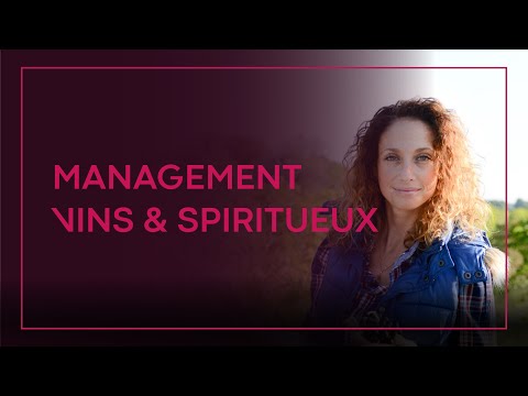 Management des Vins & Spiritueux - Présentation du Programme