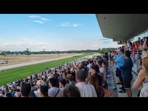 99. Magyar Derby (galopp )