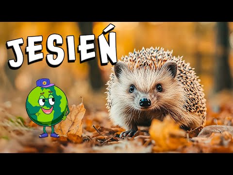 JESIEŃ - Jak wygląda życie jeża? 🦔 Film edukacyjny dla dzieci 🦔