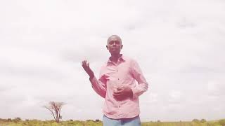 Download lagu MAISHA MA B4-BY-MWENDA SYANA BOIZ BAND mp3