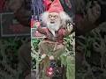 The Gnome from Poison Props #halloween #haunt #eastcoasthauntersconvention #halloweencostumes #props