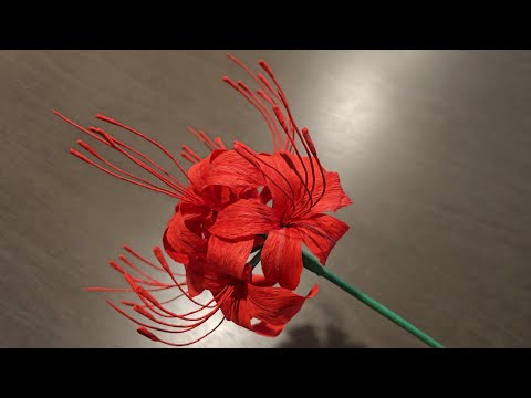 Red spider lily/ Lycoris radiata/ DIY crepe paper flower/ craft idea