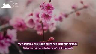 [Vietsub+Lyrics] LÉON - Liar