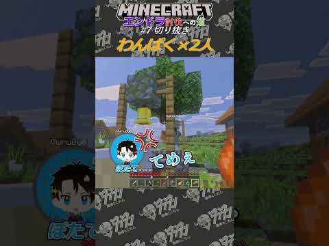 【マインクラフト】わんぱく×2人#shorts