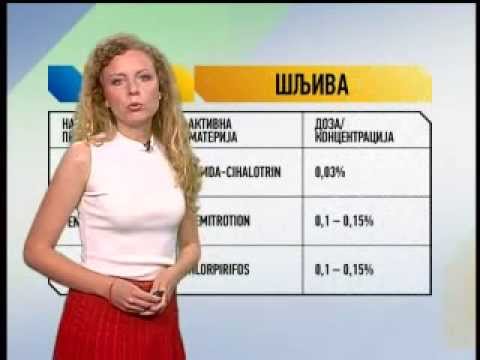 Zelena prognoza 26.7.2013.