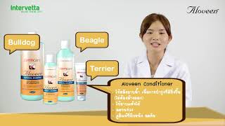 Aloveen Shampoo