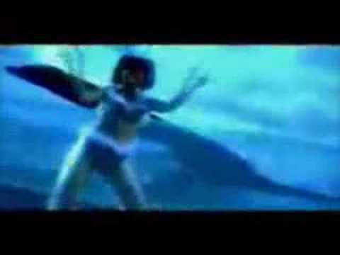 Bambee-typical tropical