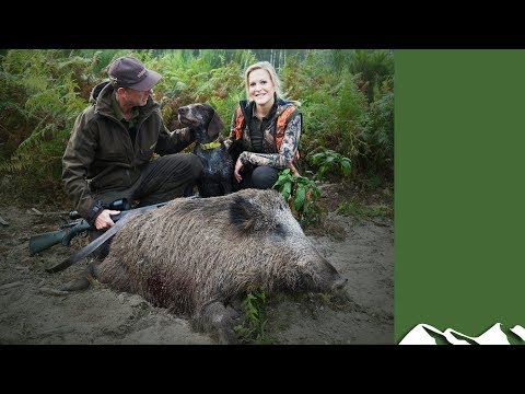 Boar Hunting in the Sologne Boar Hunting in the Sologne
