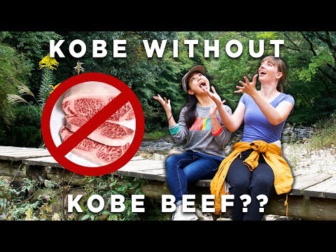 在KOBE有新事情可做! (Here's Something NEW to do In KOBE!)