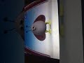 EggBird Butterfly English BabyTV