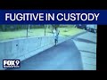 Fugitive Wanted For Health Care Fraud In Custody