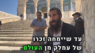 השמדת כל אויבינו בעזה קודמת לבניין המקדש - מה עומק העניין? • פרשת כי תצא | הרב אלישע וולפסון (ישיבת הר הבית) - התמונה מוצגת ישירות מתוך אתר האינטרנט יוטיוב. זכויות היוצרים בתמונה שייכות ליוצרה. קישור קרדיט למקור התוכן נמצא בתוך דף הסרטון השמדת כל אויבינו בעזה קודמת לבניין המקדש - מה עומק העניין? • פרשת כי תצא | הרב אלישע וולפסון (ישיבת הר הבית) - התמונה מוצגת ישירות מתוך אתר האינטרנט יוטיוב. זכויות היוצרים בתמונה שייכות ליוצרה. קישור קרדיט למקור התוכן נמצא בתוך דף הסרטון