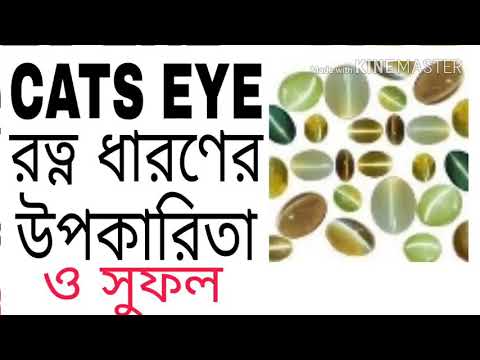 CATS EYE REMEDI OF INDIAN ASTROLOGY