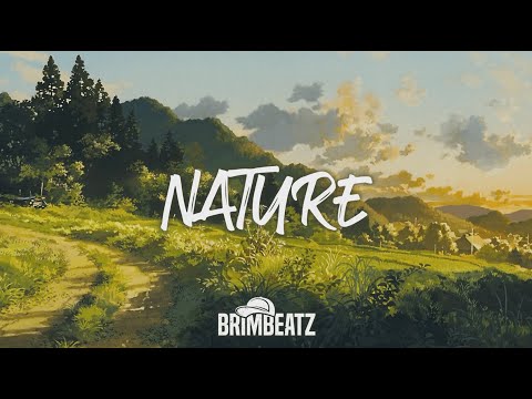 NATURE - J Dilla X Boom Bap X Oldschool Freestyle Beat