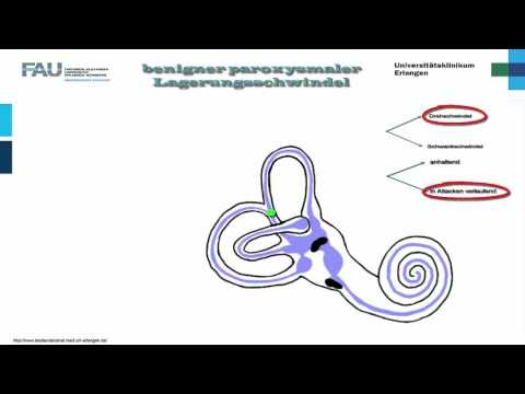 ENT ─ Dizziness Part 1/2