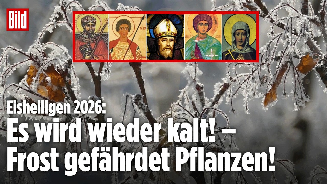 Frost im Mai: Wann die Eisheiligen kommen und warum es plötzlich kalt wird