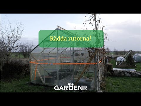 Rädda rutorna! - Trädgårdshacks med GardenR