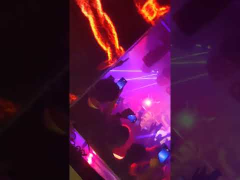 Geniuz F the FUTURE - T.I.H.K. ft. Novel Fergus, PetPetShawn live@zentral 20230817