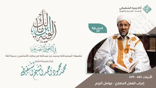 شرح ألفية ابن مالك||59 - تتمة باب إعراب الفعل المضارع - عوامل الجزم|| الشيخ محمد محمود الشنقيطي image