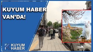 Van Düğünlerinde Erkek Tarafından İstenen Takılar Dudak Uçuklattı. Van