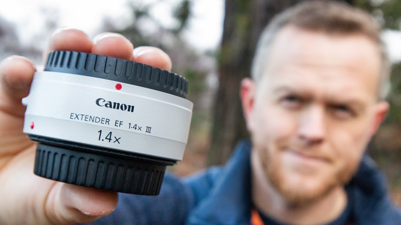 Canon EF 1.4x III Extender Review | Using Canon 7D II & Canon 100-400mm f/4.5-5.6 II
