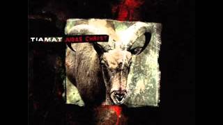 Tiamat - Vote For Love