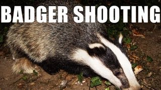 Fieldsports Britain – Shooting badgers and wheelchair guns (episode 150)
