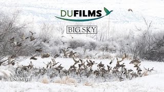 DU Films 2016: Big Sky (Full Episode)