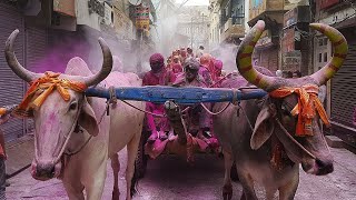 preview picture of video 'Holi Fest 2018 - Holi Celebration  Mathurà, India'