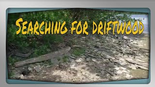 Aquarium Driftwood