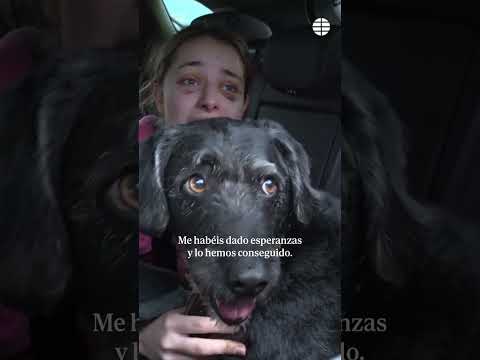 Aparece el perro Boro desaparecido en el accidente de tren Me habéis dado esperanzas, muchas gracias