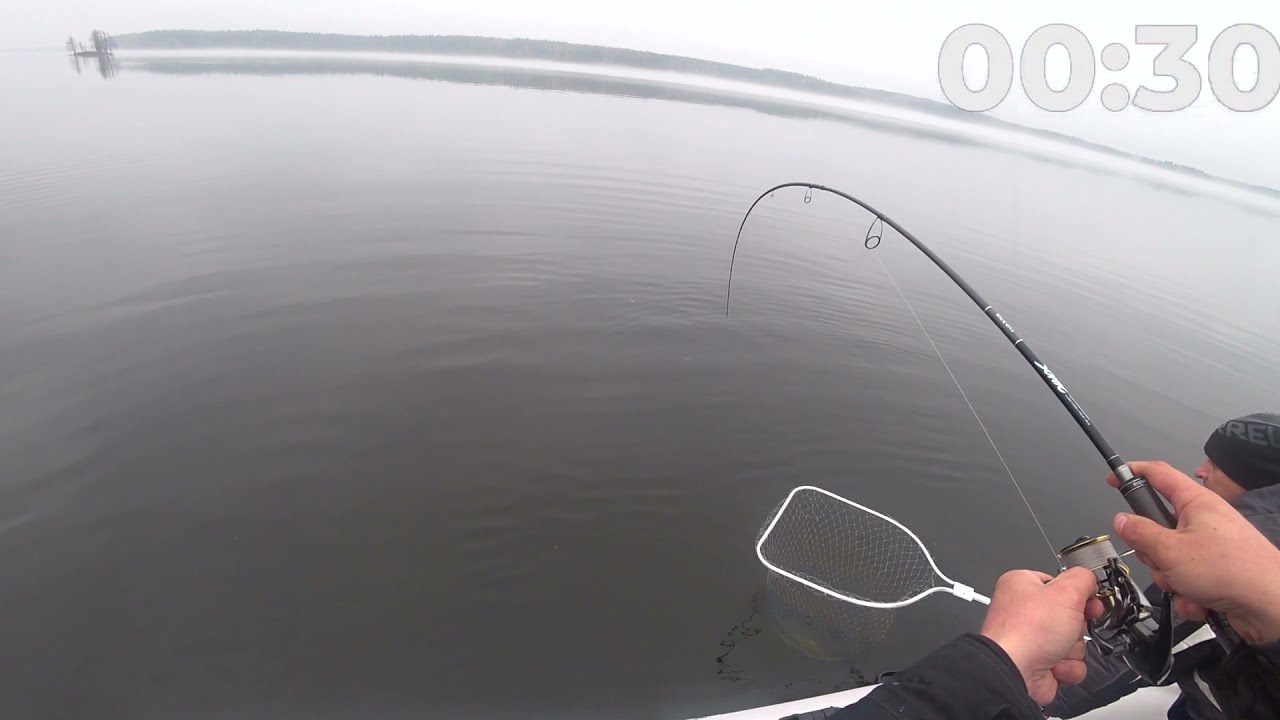 Видеообзоры