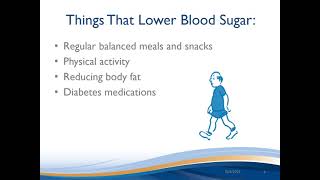 Adult Type 2 Diabetes - 2. Blood Sugar Monitoring