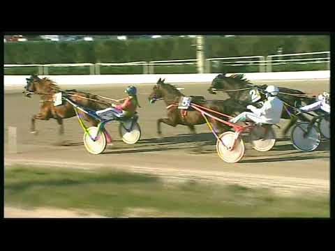 Trotto 21/02/2020 - 3ª corsa