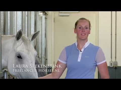 download lagu mp3 mp4 Horses Nl, download lagu Horses Nl gratis, unduh video klip Horses Nl