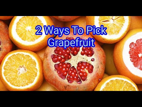 2 Ways To Pick Grapefruit