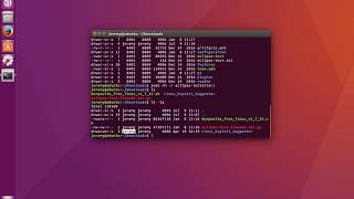 Linux Basics: How to Delete Files and Directories