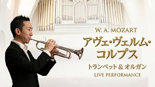 Download lagu トランペット ＆ オルガン｜モーツァルト：『アヴェ・ヴェルム・コルプス』｜心を癒やす至高のクラシック ライブ演奏 mp3