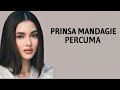 Prinsa Mandagie Pecuma Lirik Lagu Tanpa Dirimu Disini Ku Tetap Tegar Berdiri