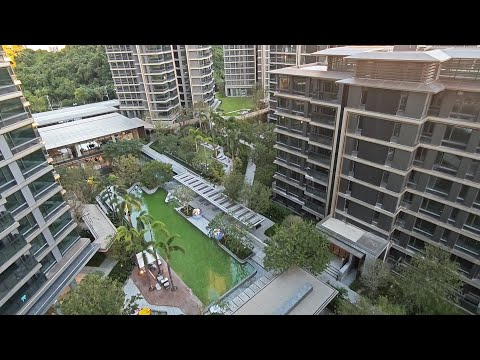 Huafa Bay Seal No.1 Youtube Video