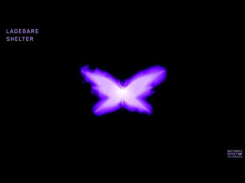 Premiere: Ladebare - Shelter