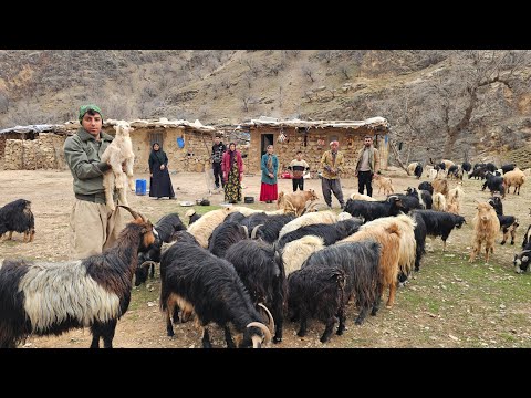 Nomadic Journey: From Cold Mountains to Green Paradise 🏔️➡️🌿 | Iranian Tribes