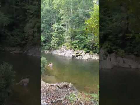 Although small, the swim area was a great place to cool off.