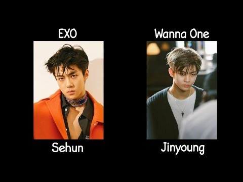 Kpop Idols That Look Alike #3